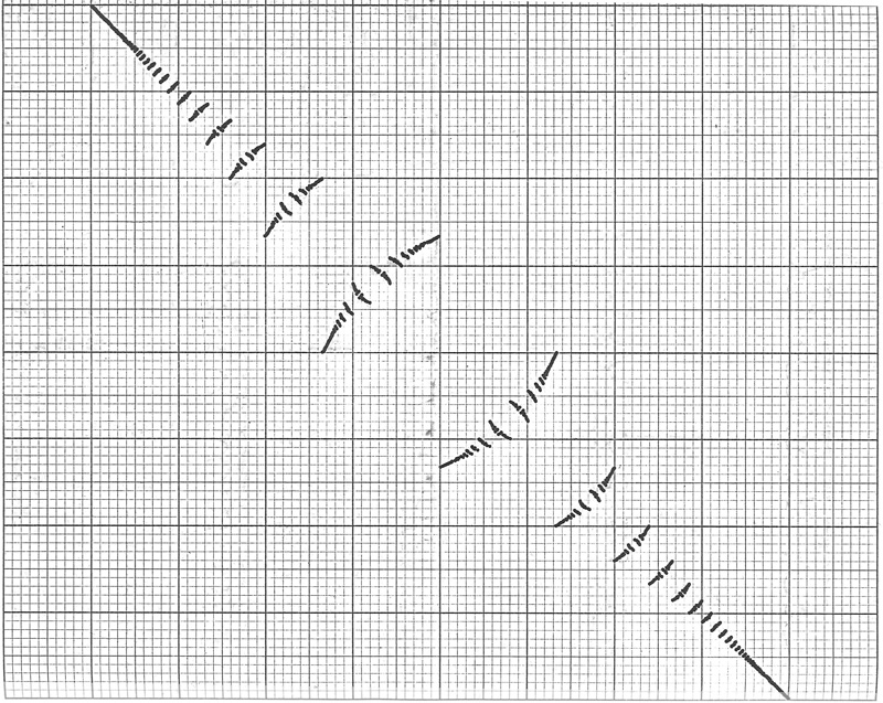 The INT graph revealed a fractal years before mathematician Benoit Mandelbrot popularized the term “fractal.” Image courtesy of Douglas Hofstadter.