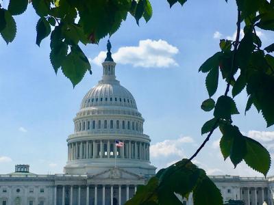 Capitol building 